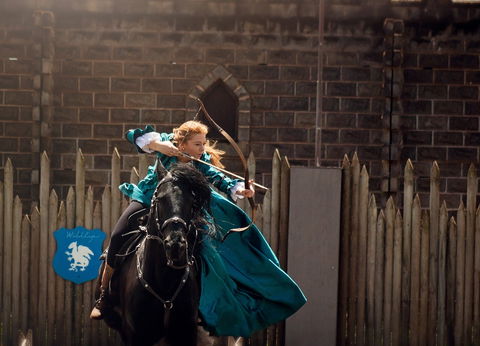 Baroque Horse Festival - Accommodation Brisbane 0
