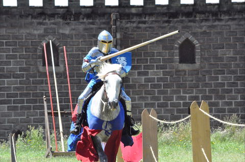 Baroque Horse Festival - Accommodation Brisbane 1