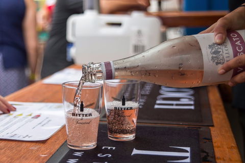 Bitter And Twisted Boutique Beer Festival - Accommodation Brisbane 2