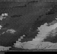 David Noonan Stagecraft - Accommodation Brisbane