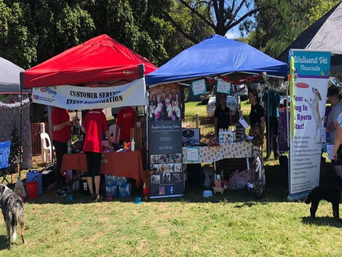 Dogs In The Park Orange - Accommodation Brisbane 1
