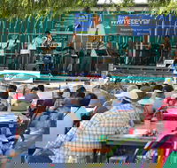 Festival in the Park - Accommodation Brisbane