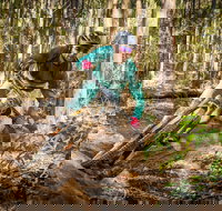 Fox Superflow sealed by Stan's Race  Ourimbah - Accommodation Brisbane