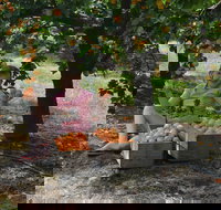 Fruit Bottling Sessions at Rayner's Orchard - Accommodation Brisbane