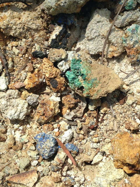 Gemorama - Accommodation Brisbane 2