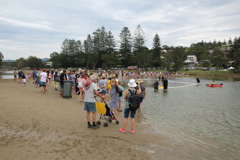 Gerringong Men’s Shed Annual Duck Derby - Accommodation Brisbane 2