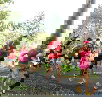 Gladstone Weekly Parkrun - Accommodation Brisbane