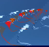 Harden Kite Festival - Accommodation Brisbane