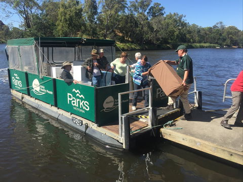 Herring Island Summer Arts Festival - Accommodation Brisbane 1