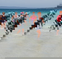 IGA Callala Triathlon Festival - Accommodation Brisbane