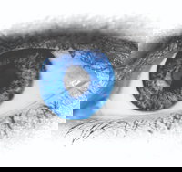 Joe Orton's What the Butler Saw - Accommodation Brisbane