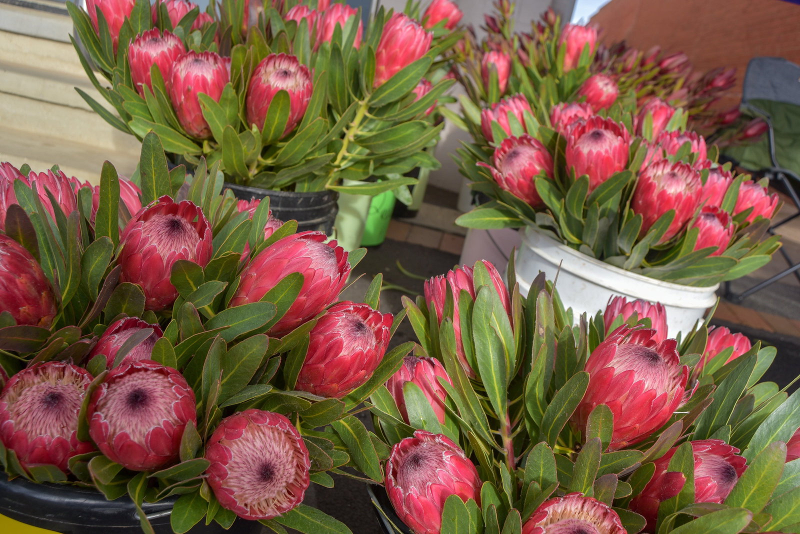 Marinna ACT Accommodation Brisbane