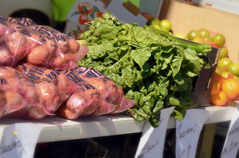 Junee Rotary Farmers Markets - Accommodation Brisbane 2