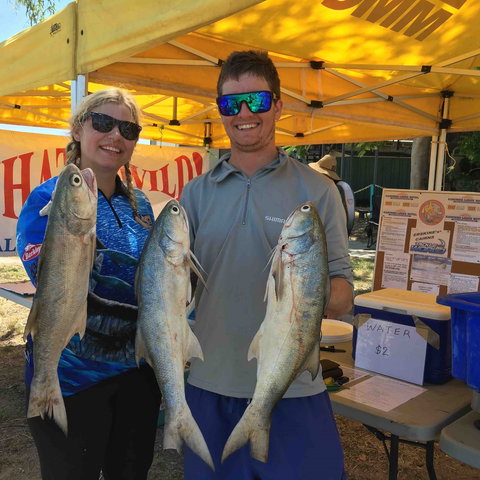 Karumba Anglers Classic - Accommodation Brisbane 1