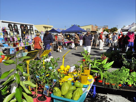 Maclean Community Monthly Markets - Accommodation Brisbane 0