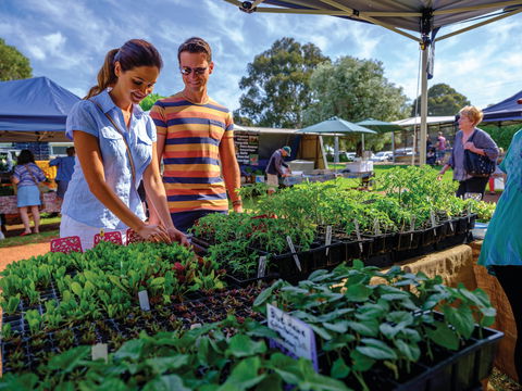 Margaret River Farmers Market - Accommodation Brisbane 1