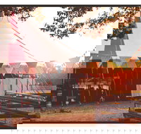 Mullum Circus Festival - Accommodation Brisbane