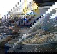 Narrabri Show - Accommodation Brisbane