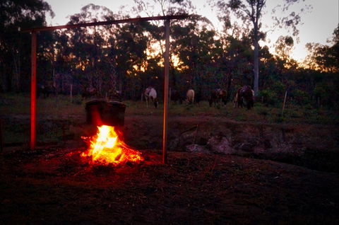 Night Horse Ride And Dinner - Accommodation Brisbane 2