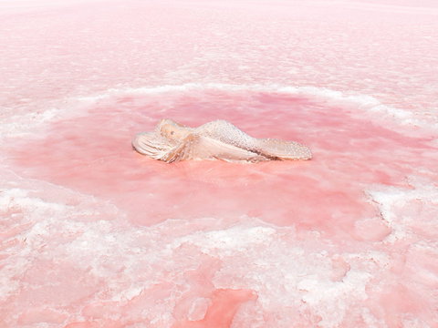 Oceans From Here - Accommodation Brisbane 0