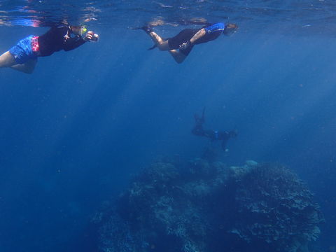 Project Manta Ningaloo Reef, Western Australia - Accommodation Brisbane 1