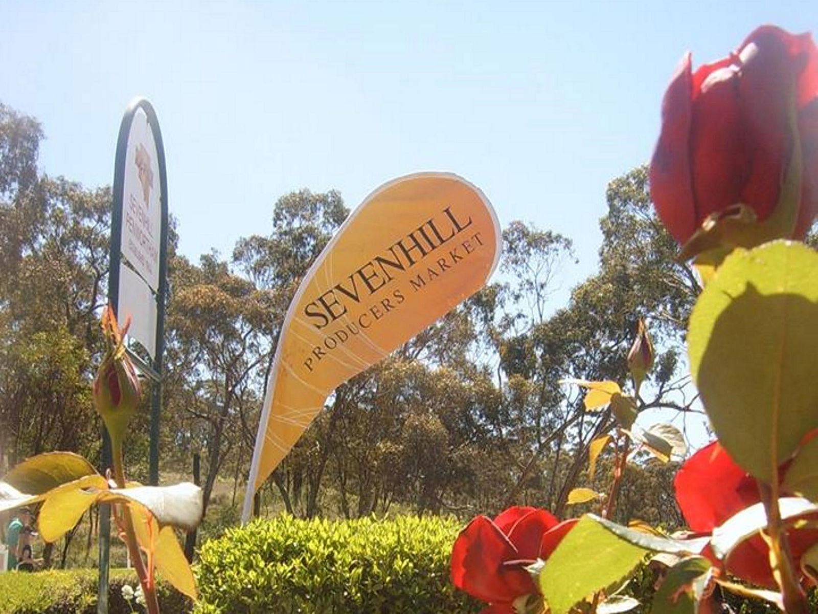 Sevenhill SA Accommodation Brisbane