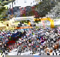 Snowies MTB Festival - Accommodation Brisbane