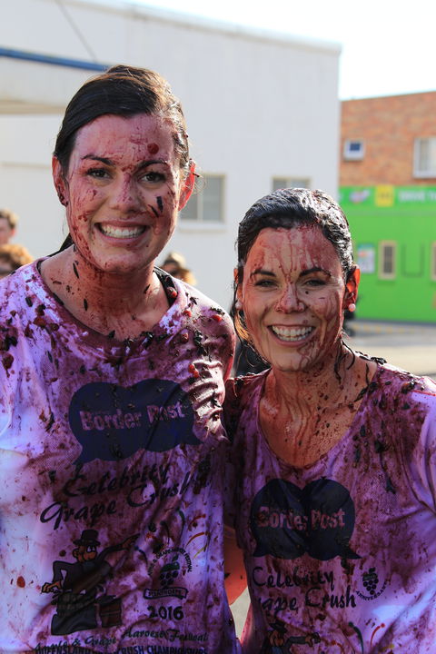 Stanthorpe Apple And Grape Harvest Festival - Accommodation Brisbane 1