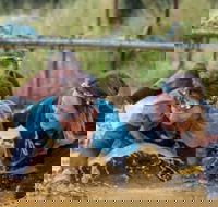 Suck It Up Buttercup Vikings Obstacle Course - Accommodation Brisbane