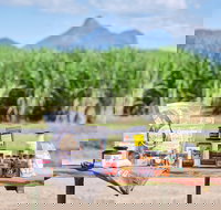 Taste Tweed - Accommodation Brisbane