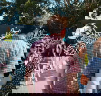 The Big Picture Fest Newcastle - Accommodation Brisbane