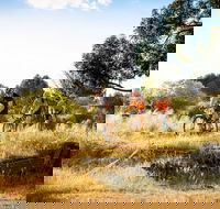 The Beverley Heroic - Accommodation Brisbane