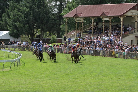 Tumut Derby Day - Accommodation Brisbane 0
