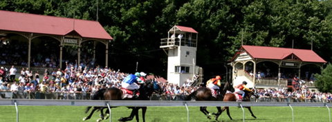 Tumut Derby Day - Accommodation Brisbane 1