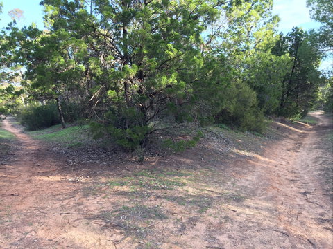 Victoria Park Moonta Monthly Walks - Accommodation Brisbane 1