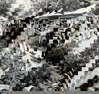 Yamba Farmers and Producers Market - Accommodation Brisbane