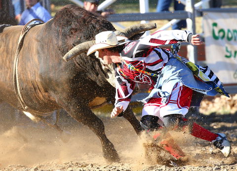 AgriWest Cooma Rodeo - Accommodation Brisbane 2