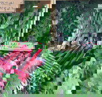 Albury Wodonga Farmers Market - Accommodation Brisbane