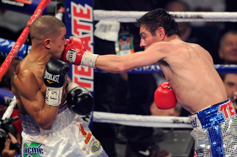 Australia Allstars Vs The World - Accommodation Brisbane 1