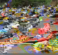 Australia Day Celebrations Gunnedah - Accommodation Brisbane