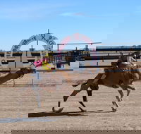 Bedourie Camel and Pig Races and Camp oven Cook-off - Accommodation Brisbane