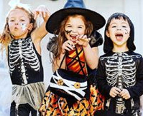 Boo! At The Zoo! - Accommodation Brisbane 2