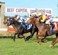 Casino Cup - Accommodation Brisbane