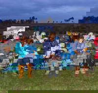 Cinema Under The Stars - Accommodation Brisbane