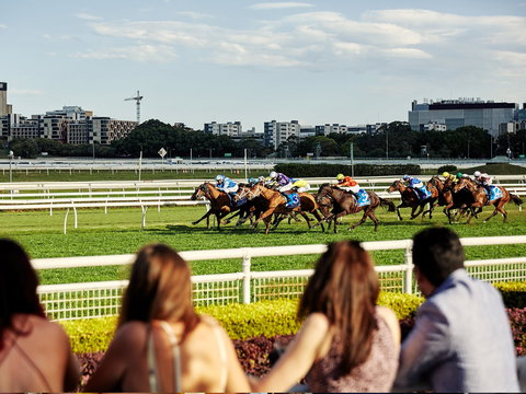 Cup Day - Accommodation Brisbane 1
