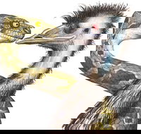 Edward The Emu - Accommodation Brisbane