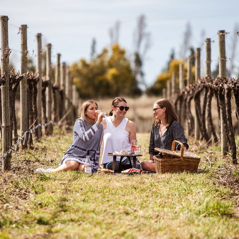 Family Picnic Weekend - Accommodation Brisbane 0