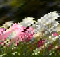 Floriade Reimagined - Accommodation Brisbane