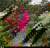 Fruit Taste Adventure Tours - Accommodation Brisbane