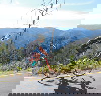 High Country Women's Cycling Festival - Accommodation Brisbane